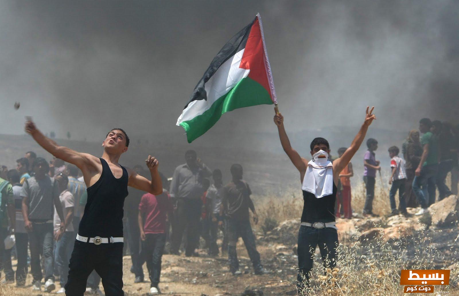 تعبير عن فلسطين للصف السادس ملخص جميل! 6 251880095613383